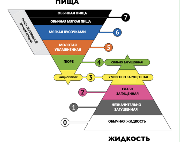 Классификация консистенции пищи и густоты жидкости согласно Международной инициативе по стандартизации диеты при дисфагии IDDSI. Классификация имеет 7 уровней модификации.
